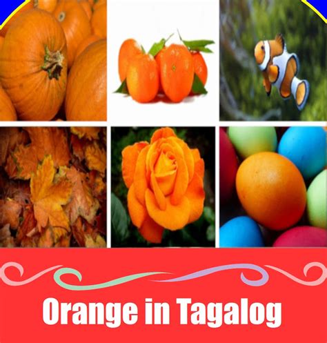 ano ang tagalog ng orange na prutas
